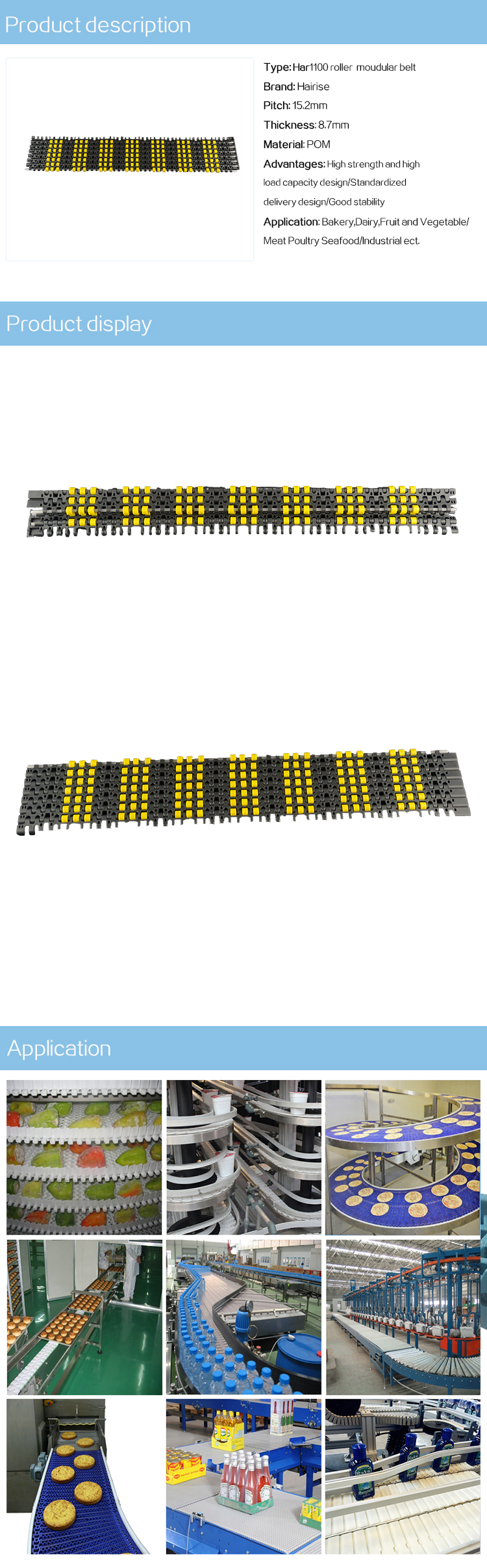 1100 roller modular belt.jpg