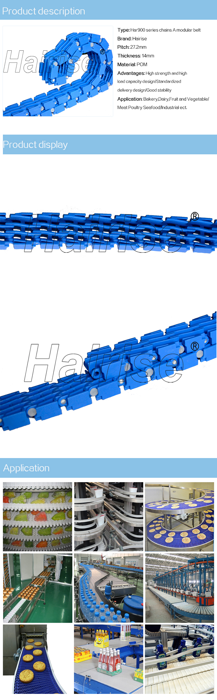 900 chain A modular belt.jpg